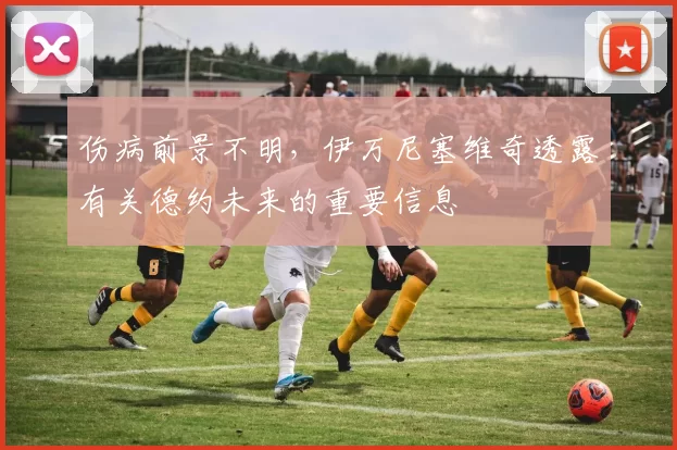 伤病前景不明，伊万尼塞维奇透露有关德约未来的重要信息